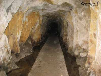 tunel