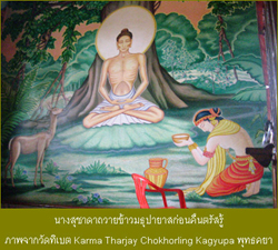 �Ҿ�ҡ�Ѵ��ີ �ط���� �Թ���