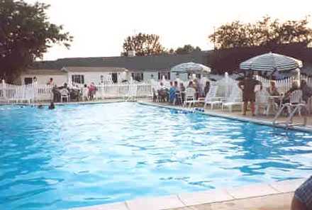 hospitality area - pool