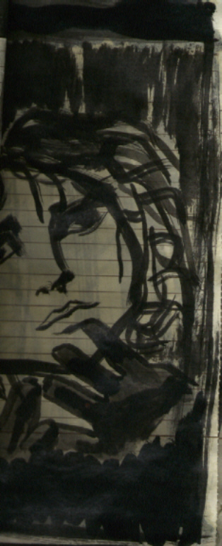 Art�sta: Viviani P. Costa