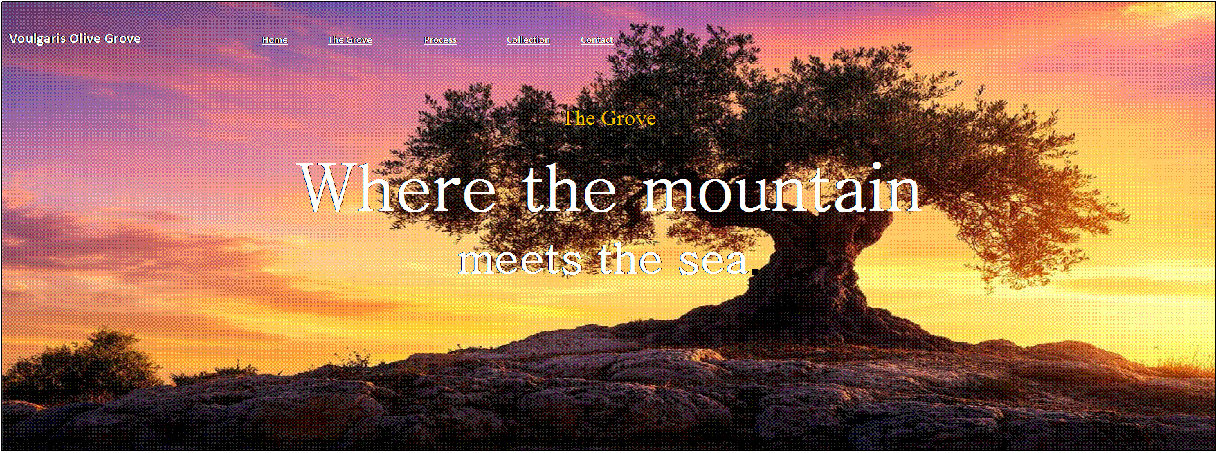 ������� ��������: Voulgaris Olive Grove                                    Home                  The Grove                       Process                      Collection              Contact


The Grove
Where the mountain
meets the sea.

