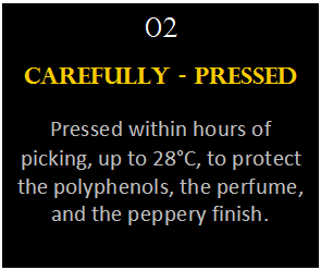 Πλαίσιο κειμένου: 02
Carefully - Pressed
Pressed within hours of picking, up to 28°C, to protect the polyphenols, the perfume, and the peppery finish.