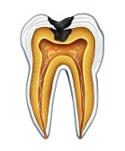 Vimeo Video