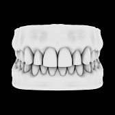 Image Lightbox