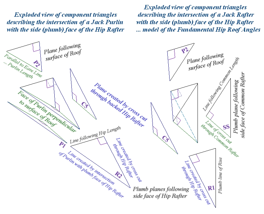 Exploded view of component triangles modeling the intersection of a Jack Rafter and Jack Purlin with the side (plumb) face of the Hip-Valley Rafter