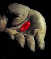 YOU TAKE THE RED PILL AND YOU STAY IN WONDERLAND AND I SHOW YOU HOW DEEP THE RABBIT HOLE GOES