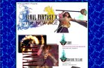 FINAL FANTASY X:  THE NEW AGE