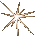 Supernova!