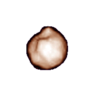 1998 ML14