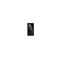 25143 (1998 SF36)
