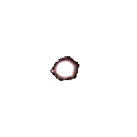 762 Pulcova