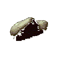 433 Eros
